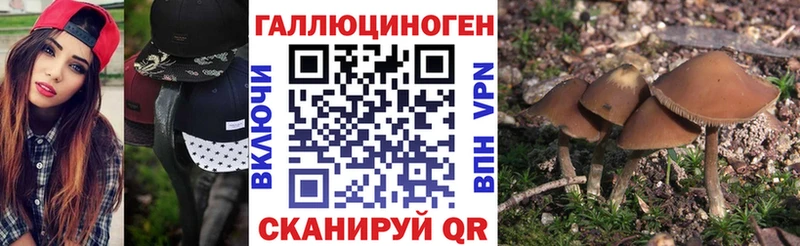 Псилоцибиновые грибы MAGIC MUSHROOMS  Купить где  Пойковский 